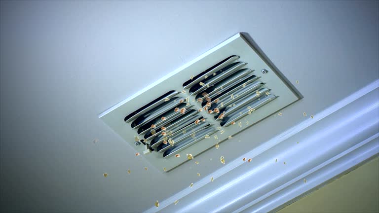 Best Residential Air Duct Cleaning  in Natchez, MS