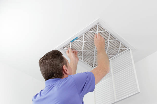 Best Air Duct Mold Removal  in Natchez, MS